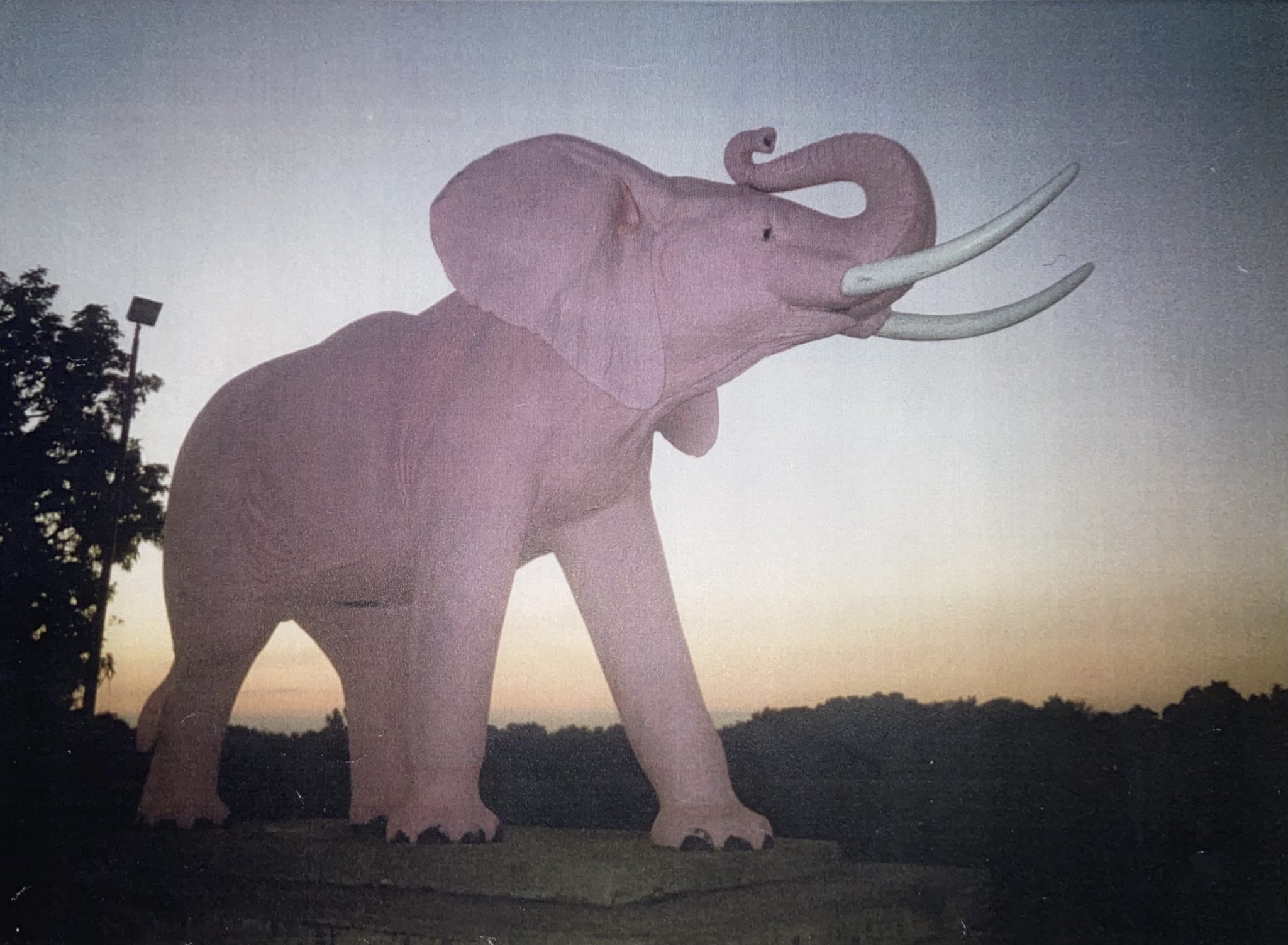 The tale and tragedy of Jumbo the elephant The Falcon